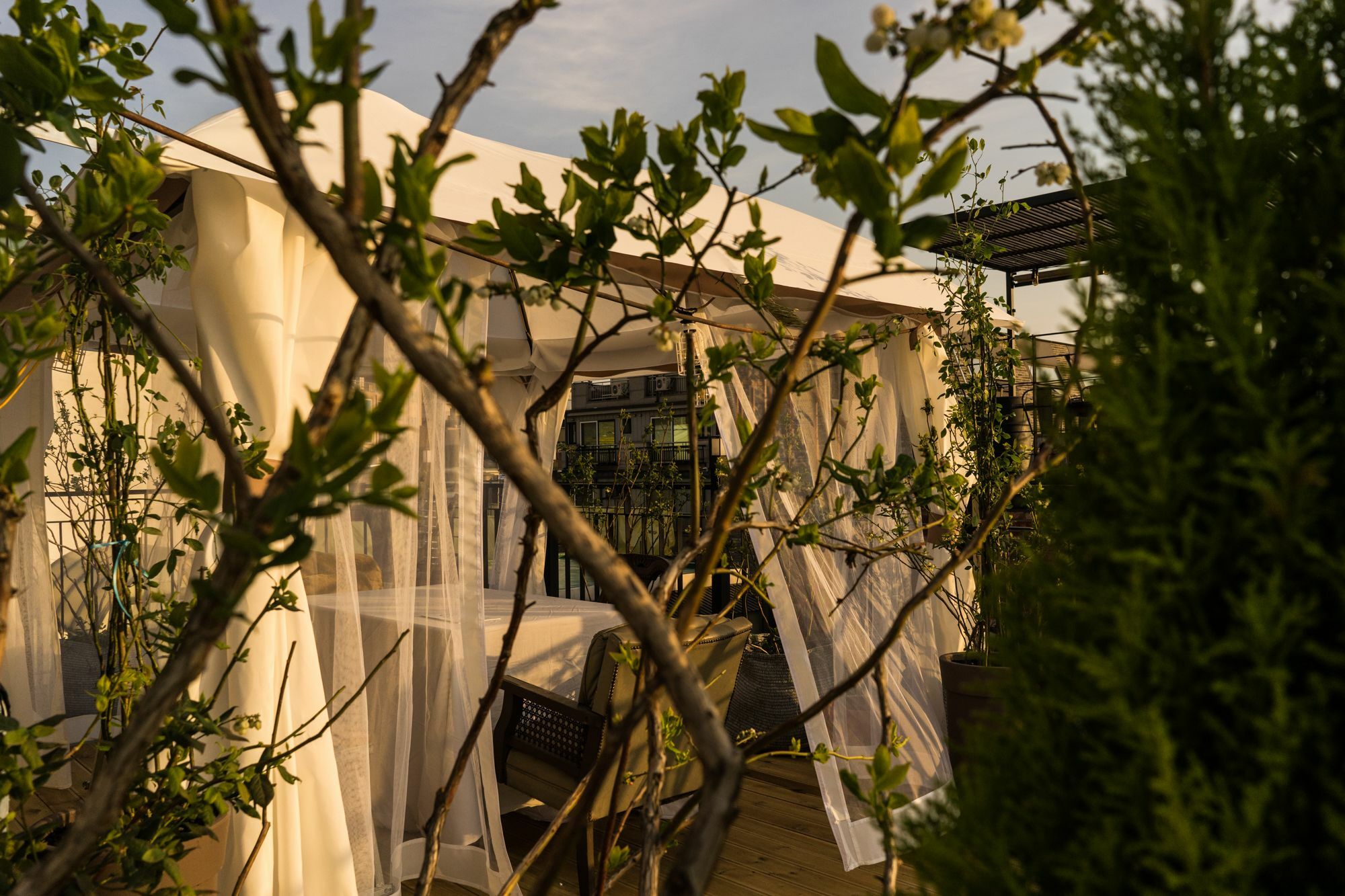 Tetto House Rooftop Garden Seoul Eksteriør billede